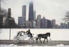Horse and Carriage Ride - Attraction - N Michigan Ave & E Pearson St, Chicago, IL, 60611 Horse and Carriage Ride - Attraction - N Michigan Ave & E Pearson St, Chicago, IL, 60611