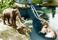 - Museums - La Brea Tar Pits, 5801 Wilshire Blvd, Los Angeles, CA - Museums - La Brea Tar Pits, 5801 Wilshire Blvd, Los Angeles, CA