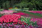 Longwood Gardens - Attraction - 1001 Longwood Rd, Kennett Square, PA, United States