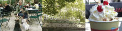 The Shake Shack - Attraction - Madison Square Park, 1 23rd St, New York, NY, United States