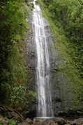 Manoa Activities - Attraction - Honolulu, HI