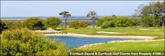 The Currituck Club - Golf - Attraction - 620 Currituck Clubhouse Dr, Corolla, NC, United States