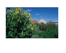 Hancock Shaker Village - Attraction - Routes 20 & 41, Pittsfield, MA, 01201, US