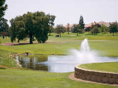 Roseville Wedding In August in Roseville, CA, USA
