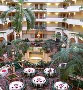 Embassy Suites - Reception - 204 Centreport Dr, Greensboro, NC, 27409-9783, US Embassy Suites - Reception - 204 Centreport Dr, Greensboro, NC, 27409-9783, US
