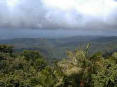 El Yunque National Forest - Attraction - Rio Grande, PR, 00745, USA El Yunque National Forest - Attraction - Rio Grande, PR, 00745, USA
