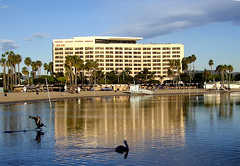 Marina Del Rey Marriott - Reception - 4100 Admiralty Way, Marina del Rey, CA, 90292, US
