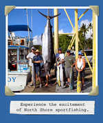 Chupu Charters Inc - Attraction - 66-167 Haleiwa Rd, Haleiwa, HI, 96712 Chupu Charters Inc - Attraction - 66-167 Haleiwa Rd, Haleiwa, HI, 96712