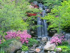 Anderson Gardens - Attraction - 318 Spring Creek Rd, Rockford, IL, United States