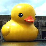 Ride the ducks - Sights - 516 Broad St, Seattle, WA, 98109, US Ride the ducks - Sights - 516 Broad St, Seattle, WA, 98109, US