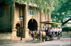 Classic Carriage Tours - Attraction - 10 Guignard St, Charleston, SC, United States