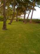 Our Wedding in Sunset Beach, HI, USA