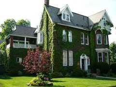 Ivy Manor - Bed and Breakfast - Hamilton, ON, CA Ivy Manor - Bed and Breakfast - Hamilton, ON, CA