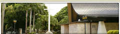 Miami Wedding In April in Indian Creek, FL, USA