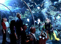 Audobon Aquarium of the Americas - Attraction - 1 Canal St, New Orleans, LA, 70130