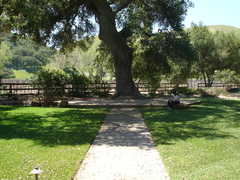 Stacey and Jenn's Wedding in Santa Maria, CA, USA