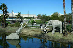 - Sight Seeing - La Brea Tar Pits, 5801 Wilshire Blvd, Los Angeles, CA - Sight Seeing - La Brea Tar Pits, 5801 Wilshire Blvd, Los Angeles, CA
