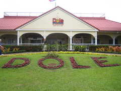 Dole Plantation - Attraction - 64-1550 Kamehameha Hwy, Wahiawa, HI, USA Dole Plantation - Attraction - 64-1550 Kamehameha Hwy, Wahiawa, HI, USA