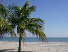 Crandon Park - Beach - Crandon Park - Beach -