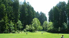 Redwood ParkArcata Community Forest - Brunch Locale - East 13th Street, Arcata, California, United States
