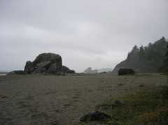 Moonstone Beach - Trees/Beach/Wildlife - United States