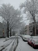 The Stockade Inn - Attraction - 1 N Church St, Schenectady, NY, 12305, US
