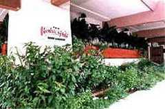 Harbor Grill Restaurant - Restaurant - 34499 Golden Lantern St, Dana Point, CA, 92629, US