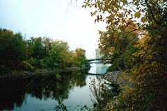 Parc du Lac Leamy - Beach or Park - Parc du Lac Leamy - Beach or Park -