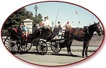 Classic Carriage Tours - Attraction - 10 Guignard St, Charleston, SC, United States Classic Carriage Tours - Attraction - 10 Guignard St, Charleston, SC, United States