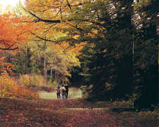 Parc de la Gatineau / Gatineau Park - Beach or Park - Parc de la Gatineau / Gatineau Park - Beach or Park -