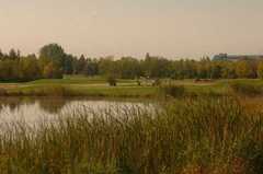 Pineview Golf - Golf - 1741 Blair Road, Gloucester, Ontario, K1R 4S3 Pineview Golf - Golf - 1741 Blair Road, Gloucester, Ontario, K1R 4S3