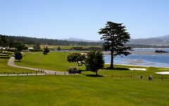 Pebble Beach Wedding In June in Del Monte Forest, CA, USA Pebble Beach Wedding In June in Del Monte Forest, CA, USA