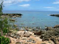 Shark's Cove - Attraction - 59-712 Kamehameha Hwy, Haleiwa, HI, United States Shark's Cove - Attraction - 59-712 Kamehameha Hwy, Haleiwa, HI, United States
