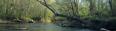 Chattahoochee River Trail - Attraction - Chattahoochee River Trail - Attraction -
