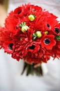 Appleblossom Flowers - Florists, Decorations - 1389 Wellesley Avenue, Saint Paul, Minnesota, 55105, USA Appleblossom Flowers - Florists, Decorations - 1389 Wellesley Avenue, Saint Paul, Minnesota, 55105, USA