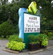 Anything with Plants & Flowers - Florists, Decorations - 5040 St. Augustine Road, Jacksonville, FL, 32207, United States
