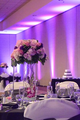 XL Entertainment Pro Sound & Lighting Systems - Lighting, Decorations, DJs, Rentals - Anaheim, California, 92801, USA XL Entertainment Pro Sound & Lighting Systems - Lighting, Decorations, DJs, Rentals - Anaheim, California, 92801, USA