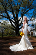 Boston Perspective Photography - Photographers - Charlotte, 28134 Boston Perspective Photography - Photographers - Charlotte, 28134