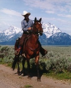 SteadyJake Mobile DJ - DJs, Bands/Live Entertainment - POB 12613, Jackson, WY, 83002, USA