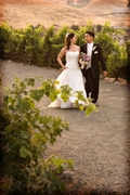 Sonoma Wedding In August in Temelec, CA, USA Sonoma Wedding In August in Temelec, CA, USA