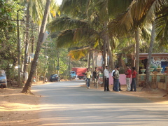 Bhavin and Sharmila's Wedding in Goa, India