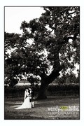 Kathleen and Jason's Wedding in Livermore, CA, USA Kathleen and Jason's Wedding in Livermore, CA, USA