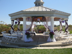 cassie and Andrew's Wedding 