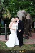 Kristiann C. and Joshua B.'s Wedding in Harvey, LA, USA