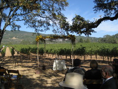Sonoma Wedding In September in Sonoma, CA, USA Sonoma Wedding In September in Sonoma, CA, USA